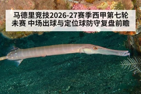 马德里竞技2026-27赛季西甲第七轮未赛 中场出球与定位球防守复盘前瞻
