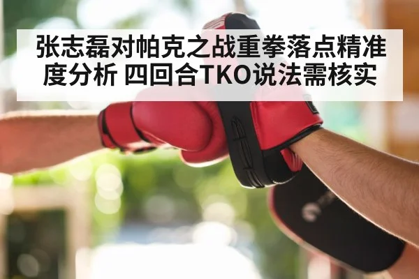 张志磊对帕克之战重拳落点精准度分析 四回合TKO说法需核实